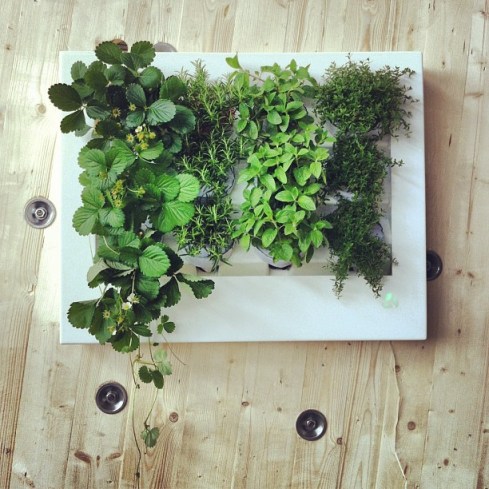 Florama Garden by Florabo.